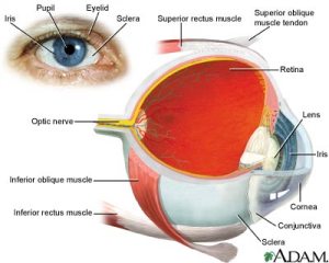 Tip Menjaga Kesehatan Mata